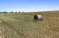 2293 Mallee Highway, Sherlock, SA 5301