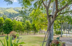 26-32 Geiger Road, Canungra, Qld 4275