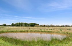 245 Learmonth Road, Clunes, Vic 3370