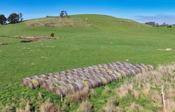 0 Warrentinna Road, Winnaleah, Tas 7265