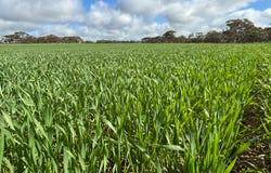 Lot 29 Eyre Highway Road, Poochera, SA 5655