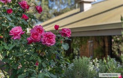 310 Dockerys Road, Tallarook, Vic 3659