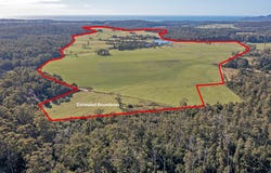 300 Coopers Road, Rocky Cape, Tas 7321