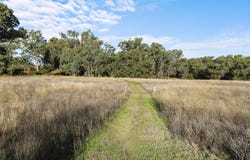 8 Currabubula Stock Route Road, Currabubula, NSW 2342
