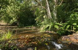 716 Binna Burra Road, Federal, NSW 2480