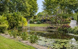 18 Southeden Court, Cooroy, Qld 4563