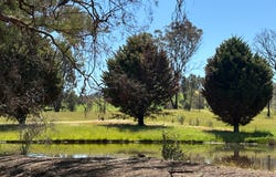 950 Yarck Rd, Yarck, Vic 3719