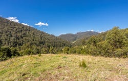 134 Landslip Creek Road, Wherrol Flat, NSW 2429