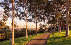5 Blomfield Road, Denham Court, NSW 2565