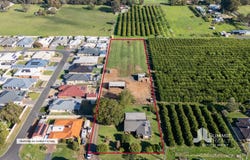 65 Third Street, Harvey, WA 6220