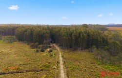 Waratah Road, Waratah, Tas 7321