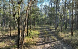 1050 Ellangowan Road, Yorklea, NSW 2470