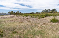 5 William Street, Oatlands, Tas 7120
