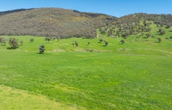16, Ranch Road, Tintaldra, Vic 3708