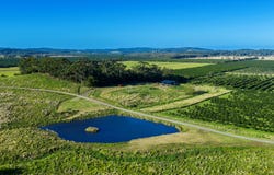461 Newrybar Swamp Road, Newrybar, NSW 2479