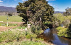 38791 Tasman Highway, Nunamara, Tas 7259