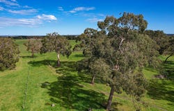 183 Peters Road, Tyrendarra, Vic 3285