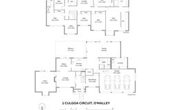 1 Culgoa Circuit, O'Malley, ACT 2606