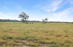 Amaroo Drive, Moree, NSW 2400