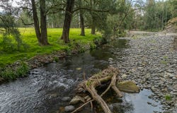 2601 Allyn River Road, Eccleston, NSW 2311