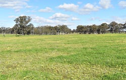 Lamplough-Greenhill Creek Road, Lamplough, Vic 3352