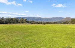 278 Cathedral Lane, Taggerty, Vic 3714
