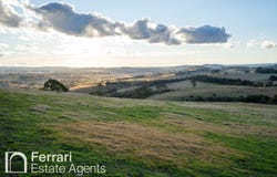 174 Emu Swamp Road, Orange, NSW 2800