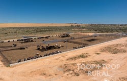 106, Hunter Road, Nildottie, SA 5238