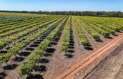0 Foxalicious Farm, Katherine, NT 0850