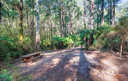 370 Old Warburton Road, Warburton, Vic 3799