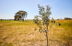 Lot 436, Boundary Road, Armstrong Creek, Vic 3217