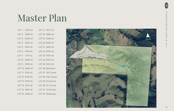 Wiangaree, NSW 2474