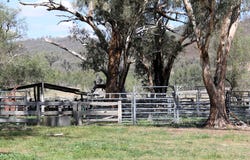 5687 Bruxner Way, Tenterfield, NSW 2372