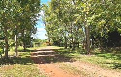 49 South Isis Road, South Isis, Qld 4660