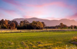 217 Deasys Road, Pokolbin, NSW 2320