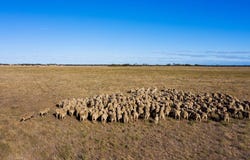 2293 Mallee Highway, Sherlock, SA 5301