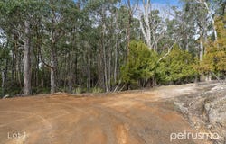 Lot 1-3, 145 Slatterys Road, Electrona, Tas 7054