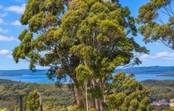 7 Wishart Place, Denmark, WA 6333