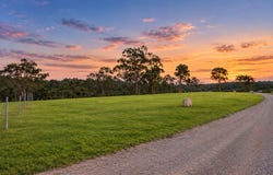 8 Bloodwood Place, Kenthurst, NSW 2156