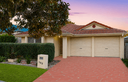 102 James Josey Avenue, Springfield Lakes, Qld 4300