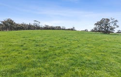 875 Emu Creek Road, Emu Creek, Vic 3551
