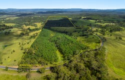 12181 Clarence Way, Sandilands, NSW 2469