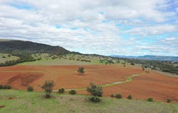 823 Eulourie Road, Bingara, NSW 2404