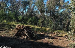 Duffy Road, Briagolong, Vic 3860