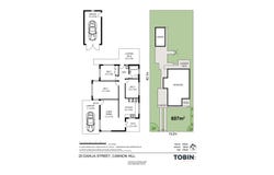 20 Dahlia Street, Cannon Hill, Qld 4170
