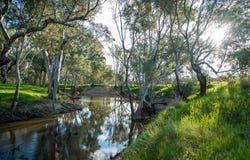 350 Mitchell Road, Kialla, Vic 3631