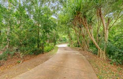 14 Wants Road, Maroochy River, Qld 4561