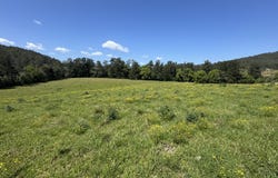 2569 Bulga Road, Bobin, NSW 2429