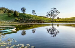 Bellingen, NSW 2454