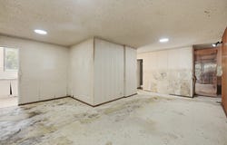1D/12 Bligh Place, Randwick, NSW 2031